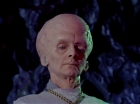 Filename=ariane179254_StarTrek_1x11_TheMenageriePart1_2999.jpg
Filesize=94KiB
Dimensions=1440x1080
Date added=Dec 23, 2014 ariane179254_StarTrek_1x11_TheMenageriePart1_2999.jpg