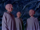 Filename=ariane179254_StarTrek_1x11_TheMenageriePart1_3001.jpg
Filesize=128KiB
Dimensions=1440x1080
Date added=Dec 23, 2014 ariane179254_StarTrek_1x11_TheMenageriePart1_3001.jpg