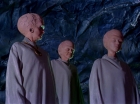 Filename=ariane179254_StarTrek_1x11_TheMenageriePart1_3002.jpg
Filesize=129KiB
Dimensions=1440x1080
Date added=Dec 23, 2014 ariane179254_StarTrek_1x11_TheMenageriePart1_3002.jpg