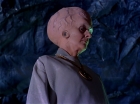 Filename=ariane179254_StarTrek_1x11_TheMenageriePart1_3007.jpg
Filesize=106KiB
Dimensions=1440x1080
Date added=Dec 23, 2014 ariane179254_StarTrek_1x11_TheMenageriePart1_3007.jpg