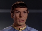 Filename=ariane179254_StarTrek_1x11_TheMenageriePart1_3358.jpg
Filesize=76KiB
Dimensions=1440x1080
Date added=Dec 23, 2014 ariane179254_StarTrek_1x11_TheMenageriePart1_3358.jpg