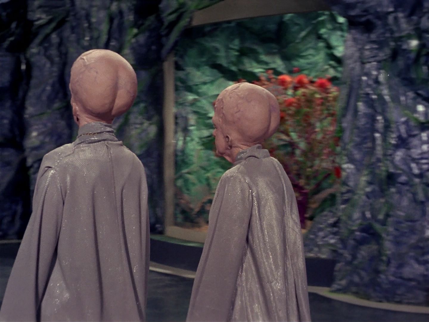 ariane179254_StarTrek_1x12_TheMenageriePart2_0331.jpg
