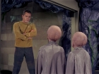 Filename=ariane179254_StarTrek_1x12_TheMenageriePart2_0347.jpg
Filesize=136KiB
Dimensions=1440x1080
Date added=Dec 28, 2014 ariane179254_StarTrek_1x12_TheMenageriePart2_0347.jpg