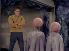 Filename=ariane179254_StarTrek_1x12_TheMenageriePart2_0348.jpg
Filesize=133KiB
Dimensions=1440x1080
Date added=Dec 28, 2014 ariane179254_StarTrek_1x12_TheMenageriePart2_0348.jpg