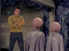 Filename=ariane179254_StarTrek_1x12_TheMenageriePart2_0351.jpg
Filesize=137KiB
Dimensions=1440x1080
Date added=Dec 28, 2014 ariane179254_StarTrek_1x12_TheMenageriePart2_0351.jpg