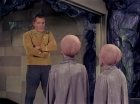 Filename=ariane179254_StarTrek_1x12_TheMenageriePart2_0397.jpg
Filesize=143KiB
Dimensions=1440x1080
Date added=Dec 28, 2014 ariane179254_StarTrek_1x12_TheMenageriePart2_0397.jpg