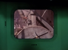 Filename=ariane179254_StarTrek_1x12_TheMenageriePart2_0687.jpg
Filesize=79KiB
Dimensions=1440x1080
Date added=Dec 28, 2014 ariane179254_StarTrek_1x12_TheMenageriePart2_0687.jpg