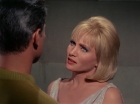 Filename=ariane179254_StarTrek_1x12_TheMenageriePart2_1072.jpg
Filesize=102KiB
Dimensions=1440x1080
Date added=Dec 28, 2014 ariane179254_StarTrek_1x12_TheMenageriePart2_1072.jpg