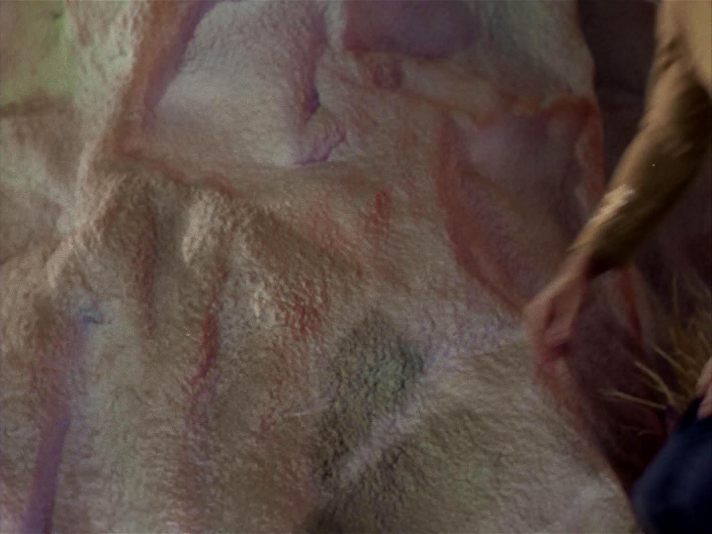 ariane179254_StarTrek_1x13_TheConscienceOfTheKing_0708.jpg