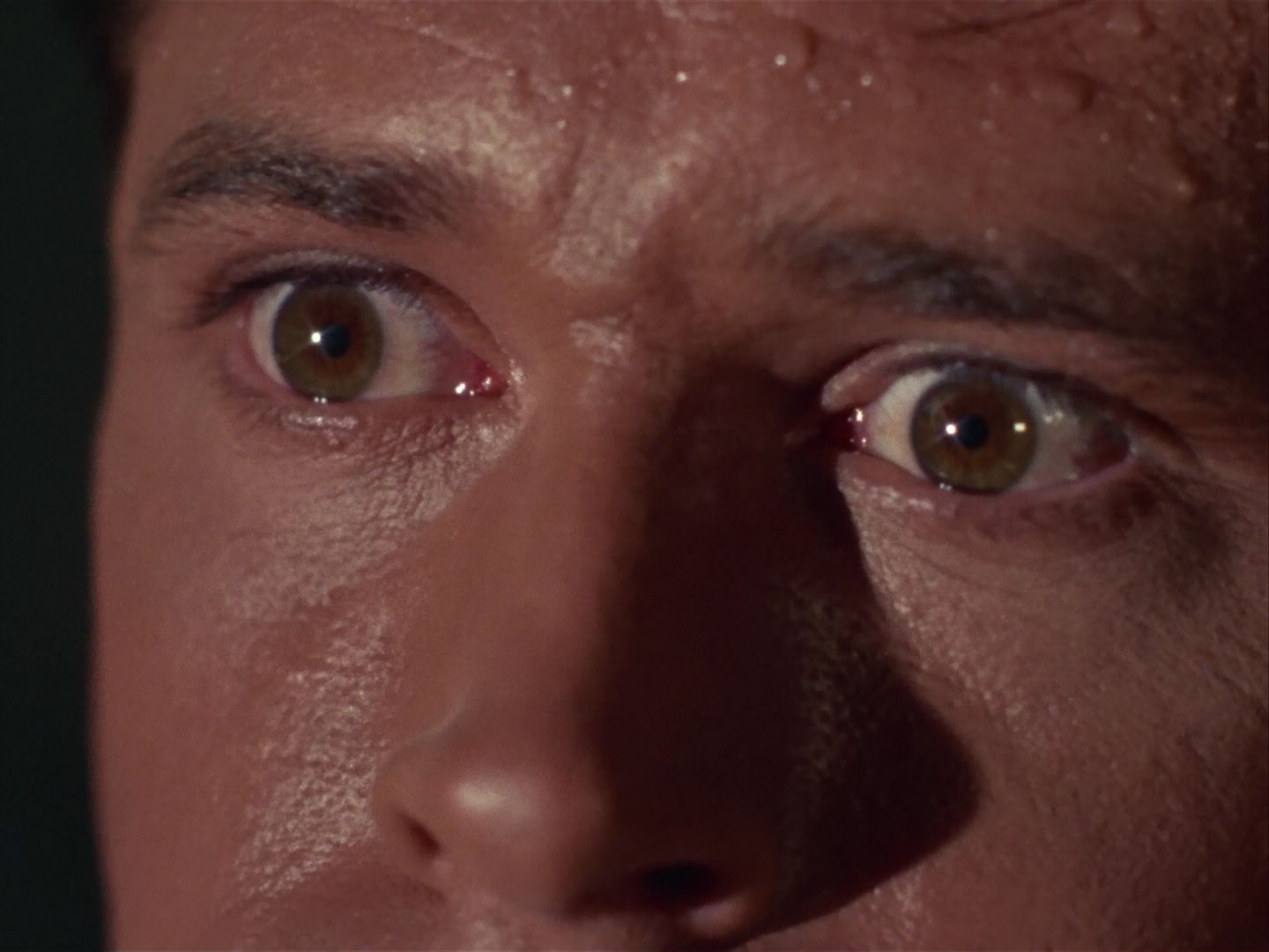 ariane179254_StarTrek_1x13_TheConscienceOfTheKing_1832.jpg