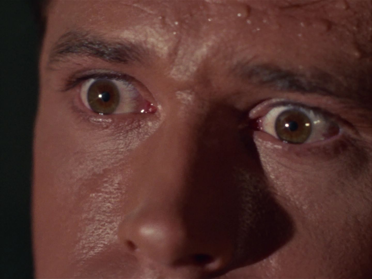 ariane179254_StarTrek_1x13_TheConscienceOfTheKing_1833.jpg