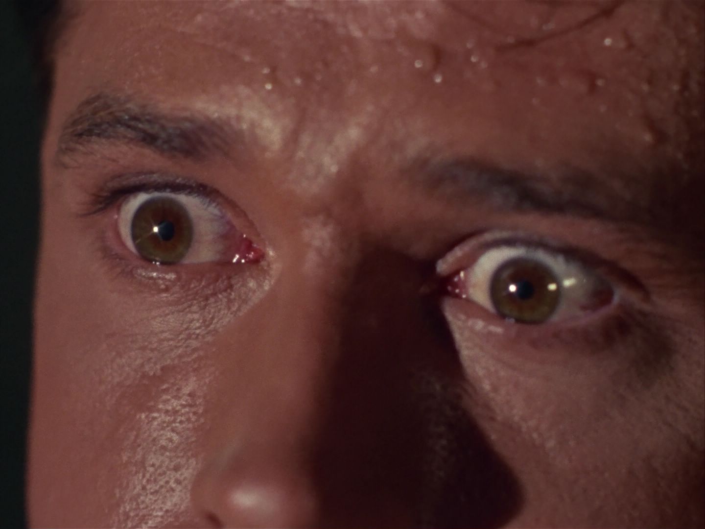ariane179254_StarTrek_1x13_TheConscienceOfTheKing_1834.jpg