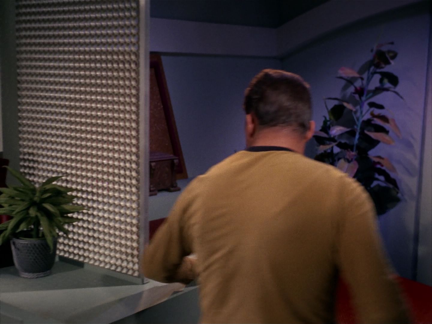 ariane179254_StarTrek_1x13_TheConscienceOfTheKing_2166.jpg
