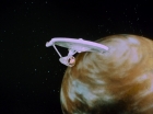 ariane179254_StarTrek_1x13_TheConscienceOfTheKing_0117.jpg