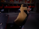 ariane179254_StarTrek_1x13_TheConscienceOfTheKing_1705.jpg