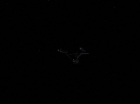 Filename=ariane179254_StarTrek_1x13-TheConscienceOfTheKing-NewEffects_0114.jpg
Filesize=14KiB
Dimensions=1440x1080
Date added=Jan 17, 2012 ariane179254_StarTrek_1x13-TheConscienceOfTheKing-NewEffects_0114.jpg