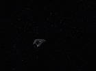 Filename=ariane179254_StarTrek_1x14_BalanceOfTerror-NewEffects_0948.jpg
Filesize=91KiB
Dimensions=1440x1080
Date added=Jan 17, 2012 ariane179254_StarTrek_1x14_BalanceOfTerror-NewEffects_0948.jpg