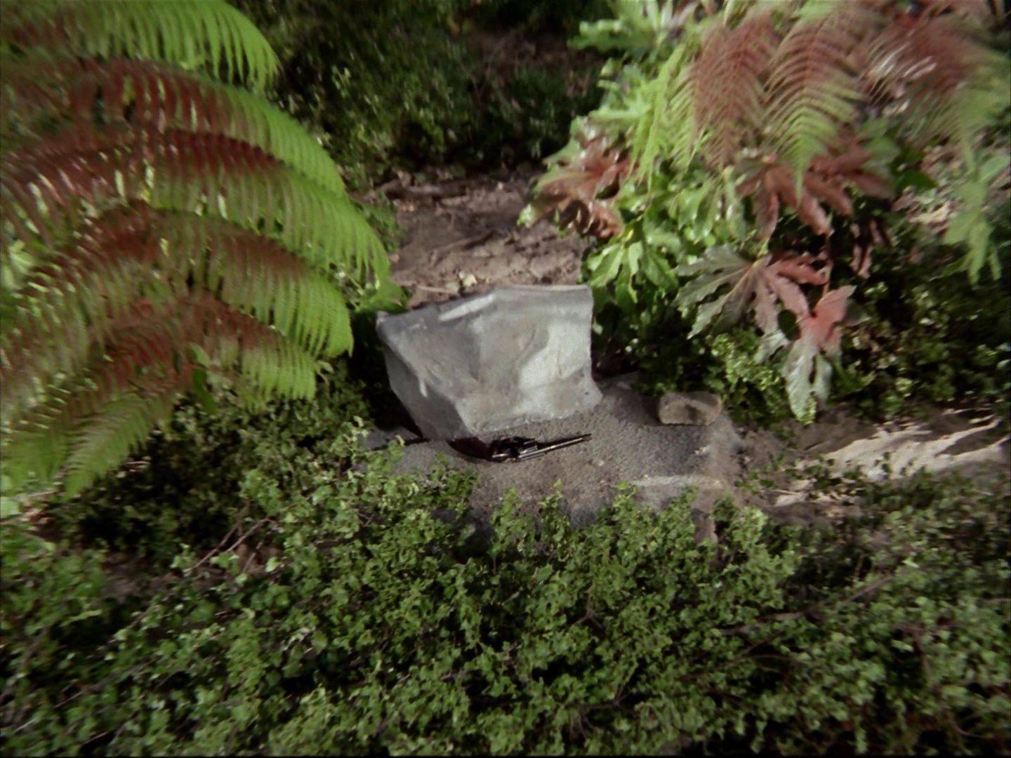 ariane179254_StarTrek_1x15_ShoreLeave_0540.jpg