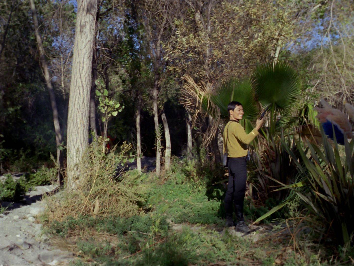 ariane179254_StarTrek_1x15_ShoreLeave_0770.jpg