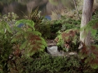 Filename=ariane179254_StarTrek_1x15_ShoreLeave_0537.jpg
Filesize=217KiB
Dimensions=1440x1080
Date added=Mar 17, 2015 ariane179254_StarTrek_1x15_ShoreLeave_0537.jpg