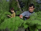 Filename=ariane179254_StarTrek_1x15_ShoreLeave_0545.jpg
Filesize=158KiB
Dimensions=1440x1080
Date added=Mar 17, 2015 ariane179254_StarTrek_1x15_ShoreLeave_0545.jpg