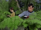 Filename=ariane179254_StarTrek_1x15_ShoreLeave_0547.jpg
Filesize=157KiB
Dimensions=1440x1080
Date added=Mar 17, 2015 ariane179254_StarTrek_1x15_ShoreLeave_0547.jpg