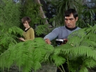 Filename=ariane179254_StarTrek_1x15_ShoreLeave_0549.jpg
Filesize=153KiB
Dimensions=1440x1080
Date added=Mar 17, 2015 ariane179254_StarTrek_1x15_ShoreLeave_0549.jpg