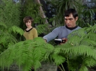Filename=ariane179254_StarTrek_1x15_ShoreLeave_0550.jpg
Filesize=155KiB
Dimensions=1440x1080
Date added=Mar 17, 2015 ariane179254_StarTrek_1x15_ShoreLeave_0550.jpg