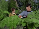 Filename=ariane179254_StarTrek_1x15_ShoreLeave_0551.jpg
Filesize=156KiB
Dimensions=1440x1080
Date added=Mar 17, 2015 ariane179254_StarTrek_1x15_ShoreLeave_0551.jpg