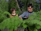 Filename=ariane179254_StarTrek_1x15_ShoreLeave_0552.jpg
Filesize=156KiB
Dimensions=1440x1080
Date added=Mar 17, 2015 ariane179254_StarTrek_1x15_ShoreLeave_0552.jpg