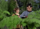 Filename=ariane179254_StarTrek_1x15_ShoreLeave_0553.jpg
Filesize=158KiB
Dimensions=1440x1080
Date added=Mar 17, 2015 ariane179254_StarTrek_1x15_ShoreLeave_0553.jpg