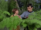 Filename=ariane179254_StarTrek_1x15_ShoreLeave_0554.jpg
Filesize=153KiB
Dimensions=1440x1080
Date added=Mar 17, 2015 ariane179254_StarTrek_1x15_ShoreLeave_0554.jpg