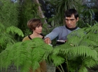 Filename=ariane179254_StarTrek_1x15_ShoreLeave_0556.jpg
Filesize=154KiB
Dimensions=1440x1080
Date added=Mar 17, 2015 ariane179254_StarTrek_1x15_ShoreLeave_0556.jpg