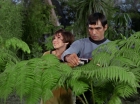 Filename=ariane179254_StarTrek_1x15_ShoreLeave_0558.jpg
Filesize=156KiB
Dimensions=1440x1080
Date added=Mar 17, 2015 ariane179254_StarTrek_1x15_ShoreLeave_0558.jpg