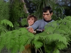 Filename=ariane179254_StarTrek_1x15_ShoreLeave_0559.jpg
Filesize=154KiB
Dimensions=1440x1080
Date added=Mar 17, 2015 ariane179254_StarTrek_1x15_ShoreLeave_0559.jpg