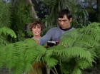 Filename=ariane179254_StarTrek_1x15_ShoreLeave_0560.jpg
Filesize=156KiB
Dimensions=1440x1080
Date added=Mar 17, 2015 ariane179254_StarTrek_1x15_ShoreLeave_0560.jpg