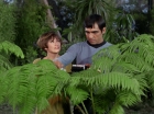 Filename=ariane179254_StarTrek_1x15_ShoreLeave_0562.jpg
Filesize=156KiB
Dimensions=1440x1080
Date added=Mar 17, 2015 ariane179254_StarTrek_1x15_ShoreLeave_0562.jpg