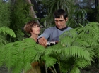 Filename=ariane179254_StarTrek_1x15_ShoreLeave_0563.jpg
Filesize=157KiB
Dimensions=1440x1080
Date added=Mar 17, 2015 ariane179254_StarTrek_1x15_ShoreLeave_0563.jpg