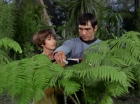 Filename=ariane179254_StarTrek_1x15_ShoreLeave_0564.jpg
Filesize=154KiB
Dimensions=1440x1080
Date added=Mar 17, 2015 ariane179254_StarTrek_1x15_ShoreLeave_0564.jpg