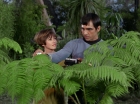 Filename=ariane179254_StarTrek_1x15_ShoreLeave_0565.jpg
Filesize=154KiB
Dimensions=1440x1080
Date added=Mar 17, 2015 ariane179254_StarTrek_1x15_ShoreLeave_0565.jpg