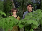 Filename=ariane179254_StarTrek_1x15_ShoreLeave_0576.jpg
Filesize=156KiB
Dimensions=1440x1080
Date added=Mar 17, 2015 ariane179254_StarTrek_1x15_ShoreLeave_0576.jpg