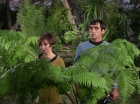 Filename=ariane179254_StarTrek_1x15_ShoreLeave_0591.jpg
Filesize=182KiB
Dimensions=1440x1080
Date added=Mar 17, 2015 ariane179254_StarTrek_1x15_ShoreLeave_0591.jpg