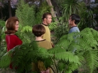 Filename=ariane179254_StarTrek_1x15_ShoreLeave_0594.jpg
Filesize=172KiB
Dimensions=1440x1080
Date added=Mar 17, 2015 ariane179254_StarTrek_1x15_ShoreLeave_0594.jpg