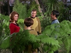 Filename=ariane179254_StarTrek_1x15_ShoreLeave_0599.jpg
Filesize=173KiB
Dimensions=1440x1080
Date added=Mar 17, 2015 ariane179254_StarTrek_1x15_ShoreLeave_0599.jpg