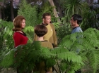 Filename=ariane179254_StarTrek_1x15_ShoreLeave_0600.jpg
Filesize=175KiB
Dimensions=1440x1080
Date added=Mar 17, 2015 ariane179254_StarTrek_1x15_ShoreLeave_0600.jpg