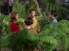 Filename=ariane179254_StarTrek_1x15_ShoreLeave_0602.jpg
Filesize=175KiB
Dimensions=1440x1080
Date added=Mar 17, 2015 ariane179254_StarTrek_1x15_ShoreLeave_0602.jpg