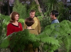 Filename=ariane179254_StarTrek_1x15_ShoreLeave_0604.jpg
Filesize=174KiB
Dimensions=1440x1080
Date added=Mar 17, 2015 ariane179254_StarTrek_1x15_ShoreLeave_0604.jpg