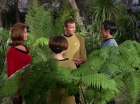 Filename=ariane179254_StarTrek_1x15_ShoreLeave_0605.jpg
Filesize=173KiB
Dimensions=1440x1080
Date added=Mar 17, 2015 ariane179254_StarTrek_1x15_ShoreLeave_0605.jpg