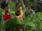 Filename=ariane179254_StarTrek_1x15_ShoreLeave_0606.jpg
Filesize=175KiB
Dimensions=1440x1080
Date added=Mar 17, 2015 ariane179254_StarTrek_1x15_ShoreLeave_0606.jpg