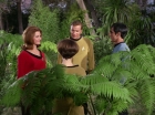 Filename=ariane179254_StarTrek_1x15_ShoreLeave_0609.jpg
Filesize=174KiB
Dimensions=1440x1080
Date added=Mar 17, 2015 ariane179254_StarTrek_1x15_ShoreLeave_0609.jpg